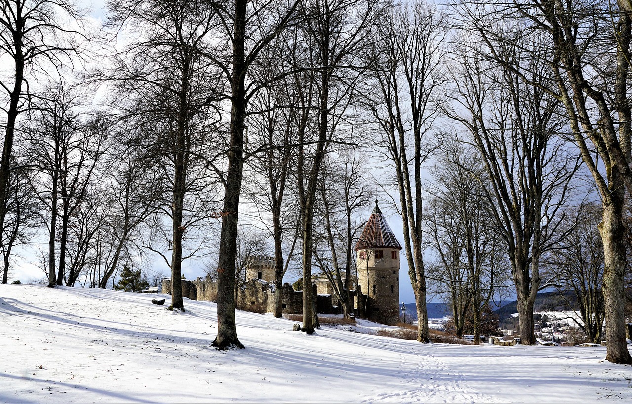 Partir en famille en hiver : destinations ski et alternatives nature découvrez nos conseils et destinations idéales pour des voyages d'hiver en famille inoubliables, alliant aventures, confort et moments chaleureux.