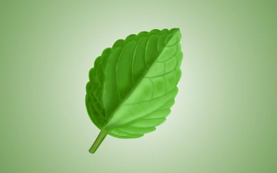 Lune de miel écoresponsable : destinations et conseils éthiques​