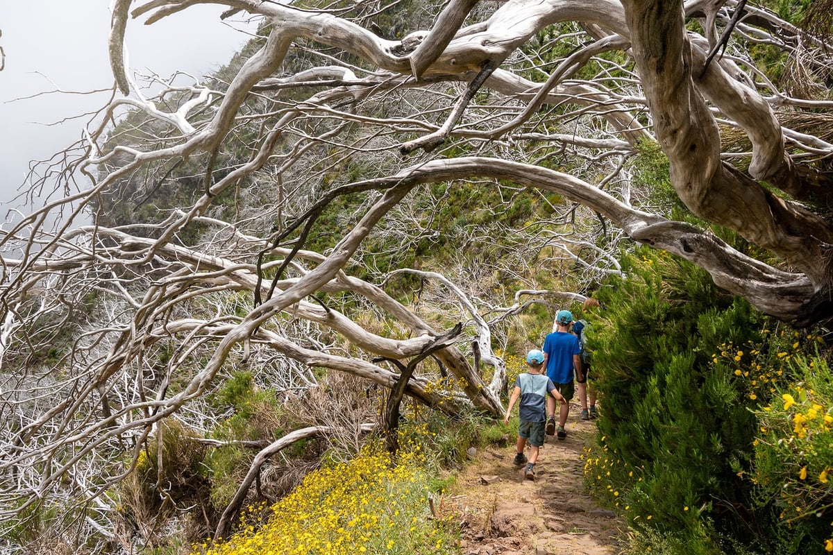 Voyage en famille : 10 activités simples avec des enfants en Provence​
